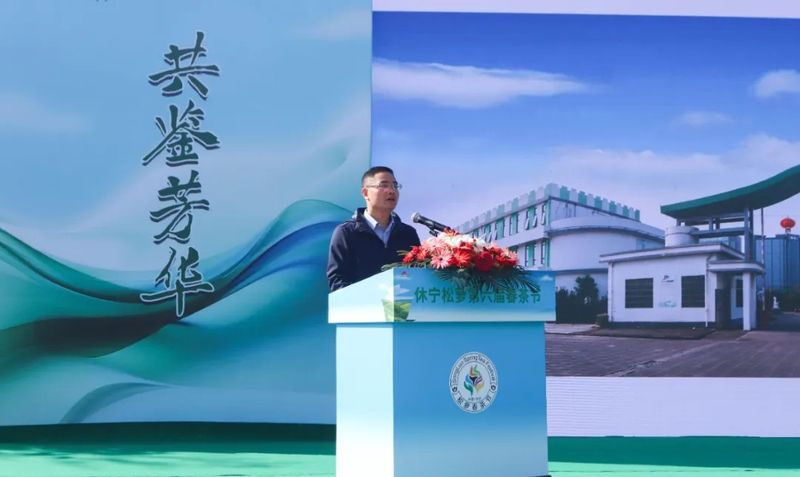 有关于以春之茗 共鉴芳华 休宁松萝第六届春茶节成功举办！的内容(1)