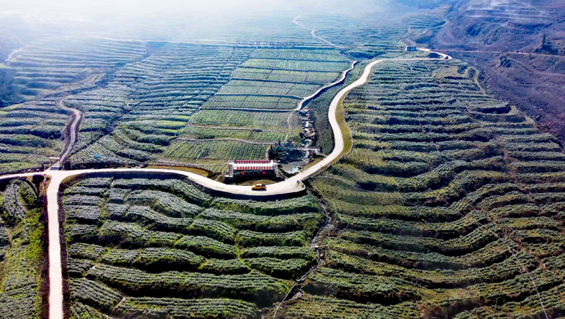 关于一叶兴业 一业富民好山好水出好茶 一芽一叶寄深情的相关内容