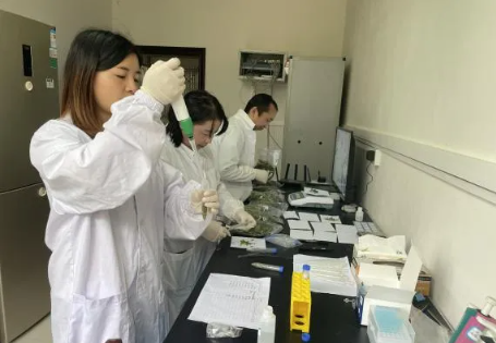 关于雷山县:以“查”护茶 严把春茶质量关的内容(1)