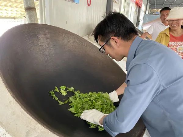 关于云南茶叶所江城科技特派团及农科服务团到江城县开展科技服务工作的消息(3)