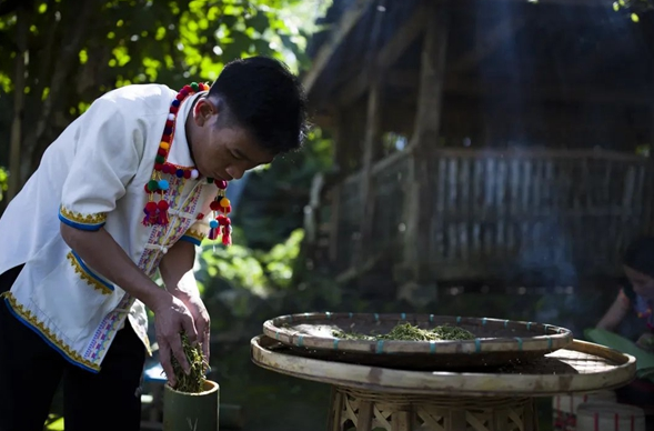 关于德宏州倾力打造茶叶区域公共品牌的新闻