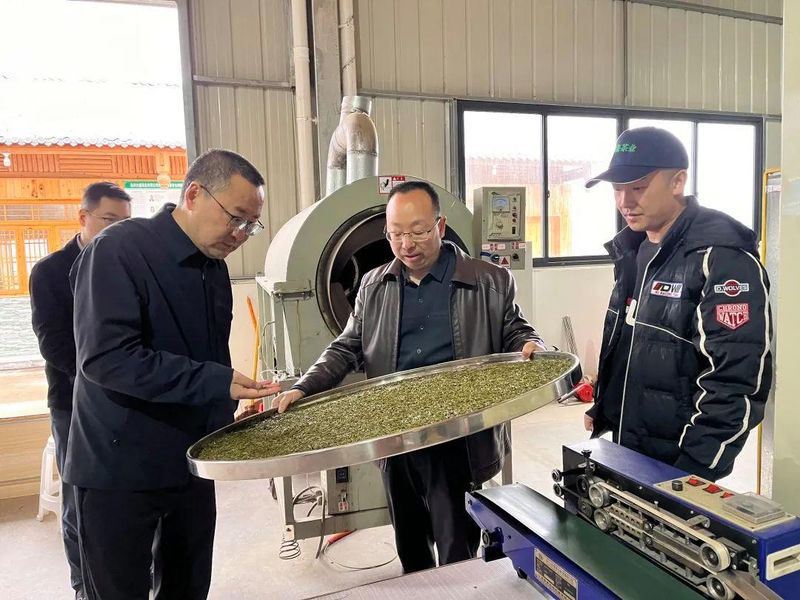 关于李光辉到北川曲山镇调研茶产业发展的相关信息