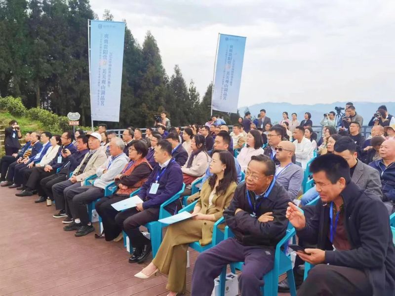 有关于2024年贵阳贵安春茶开采季暨美美观山湖第三届春茶开采季活动正式启动的相关内容