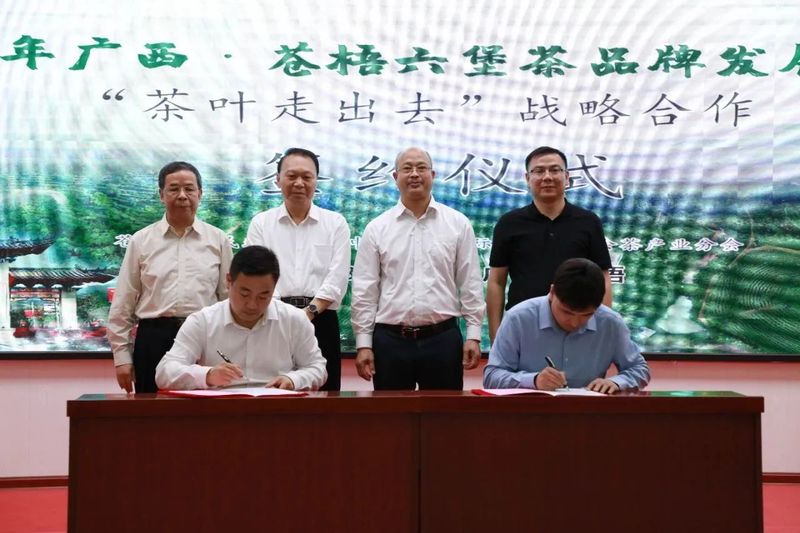 关于2024广西·苍梧六堡茶品牌发展交流会成功举办的相关内容(3)