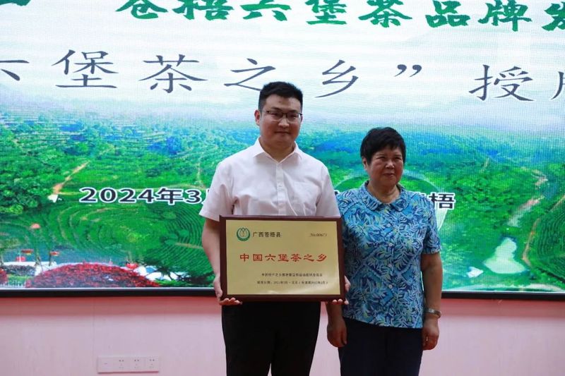 关于2024广西·苍梧六堡茶品牌发展交流会成功举办的相关内容(1)
