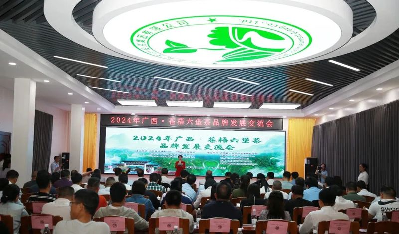 关于2024广西·苍梧六堡茶品牌发展交流会成功举办的相关内容