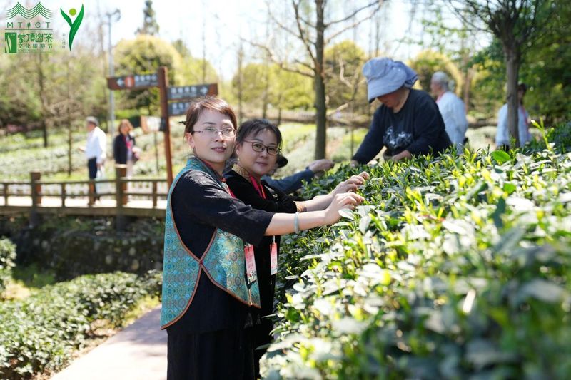 有关于世界百位茶人祭茶祖、上春山、访藏茶的最新消息(8)