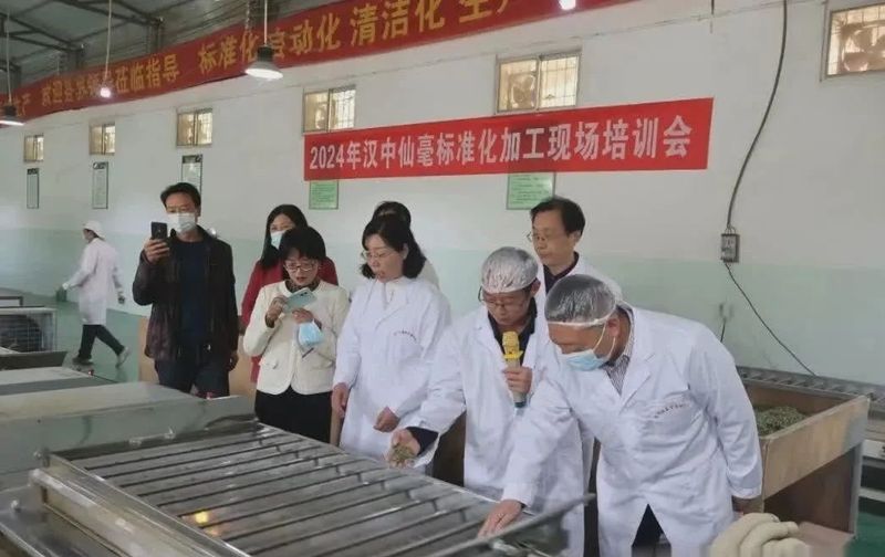 关于陕西汉中：市茶业发展中心举办2024年汉中仙毫标准化加工现场培训会的相关内容(3)
