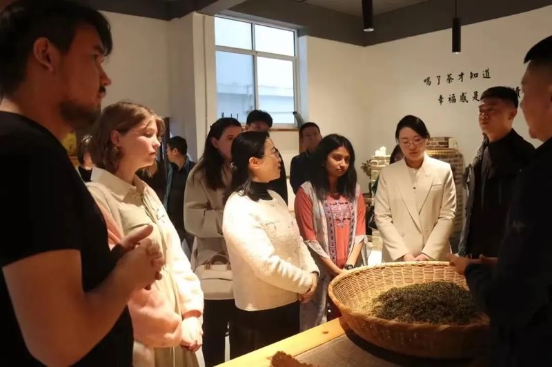 关于咫尺青绿：赴一场名山名茶青春之约的信息(6)