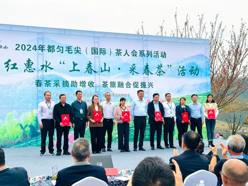 关于2024年都匀毛尖茶人会系列活动之好花红惠水“上春山·采春茶”活动今日在惠水举行的资讯(5)