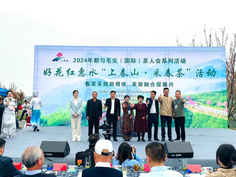 关于2024年都匀毛尖茶人会系列活动之好花红惠水“上春山·采春茶”活动今日在惠水举行的资讯(3)