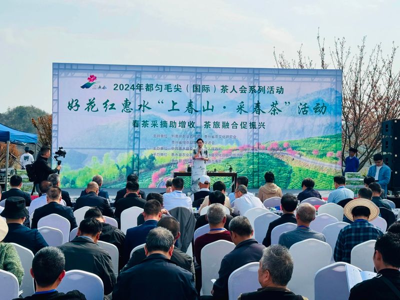 关于2024年都匀毛尖茶人会系列活动之好花红惠水“上春山·采春茶”活动今日在惠水举行的资讯