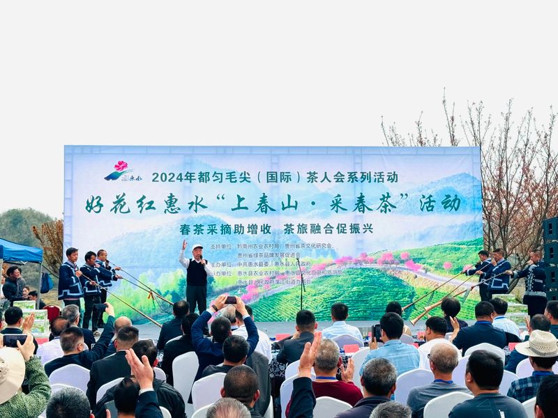 关于2024年都匀毛尖茶人会系列活动之好花红惠水“上春山·采春茶”活动今日在惠水举行的资讯(1)
