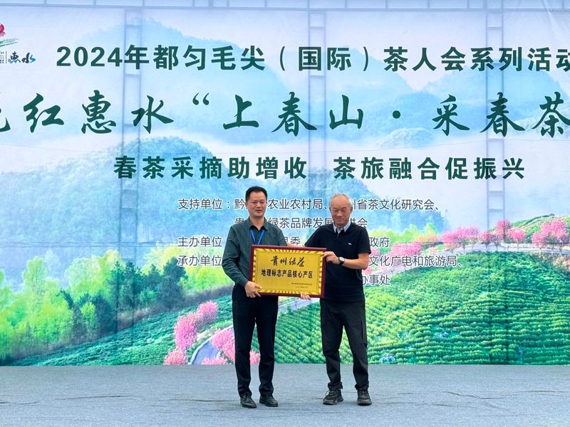 关于2024年都匀毛尖茶人会系列活动之好花红惠水“上春山·采春茶”活动今日在惠水举行的资讯(2)