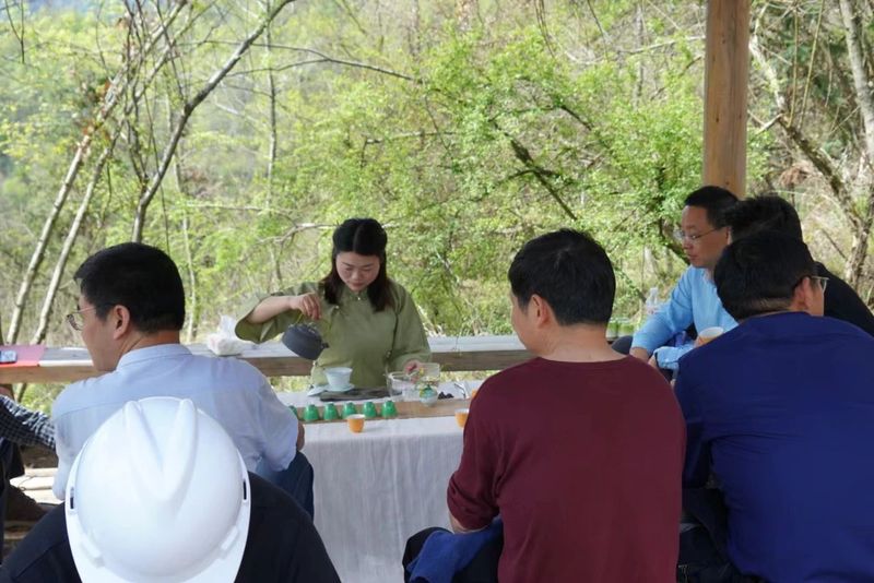 有关于“清坐不言”西递荒野茶开采暨茶研学启动仪式成功举办的内容(6)