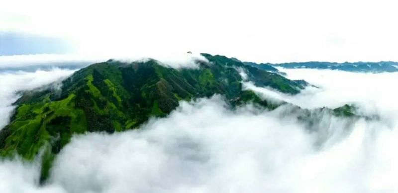 关于高山藏深香，龙井在越乡——“越乡杯”2024浙江省龙井茶炒制技能大赛之承办单位风采的内容(13)