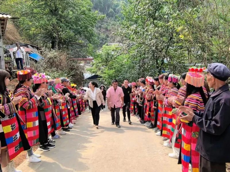 关于勐宋乡举办2024年那卡茶王开采仪式暨守护计划启动仪式的资讯(1)