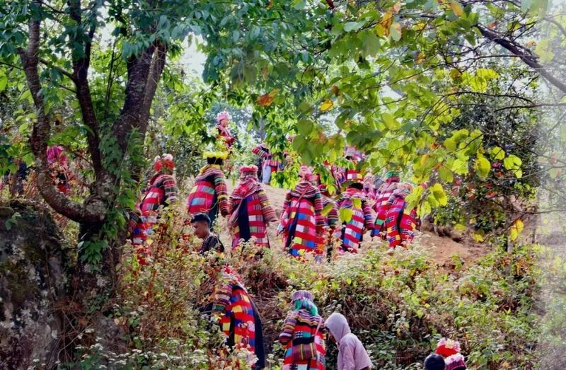 关于勐宋乡举办2024年那卡茶王开采仪式暨守护计划启动仪式的资讯(2)