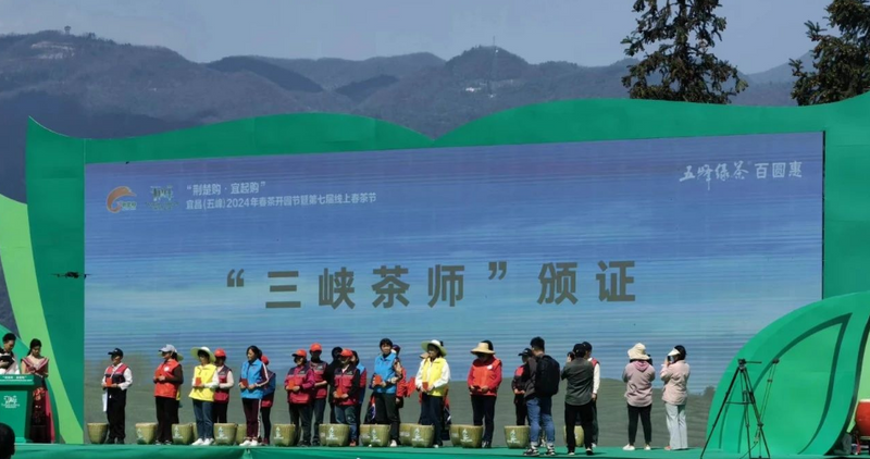 关于五峰开展2024年度“三峡茶师”春茶采摘大比武！的相关内容(6)