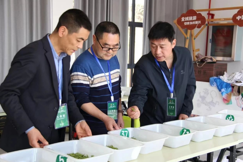 关于五峰开展2024年度“三峡茶师”春茶采摘大比武！的相关内容(5)