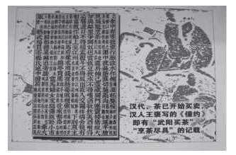 关于溯源：我国最早的茶树、茶市、“茶”字皆出于川的资讯(1)