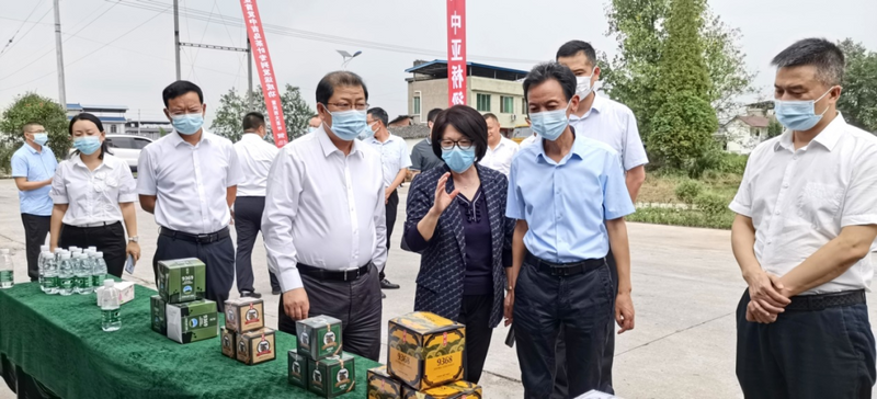 关于夹江绿茶拓展中亚市场 飘香“一带一路”的最新消息(6)