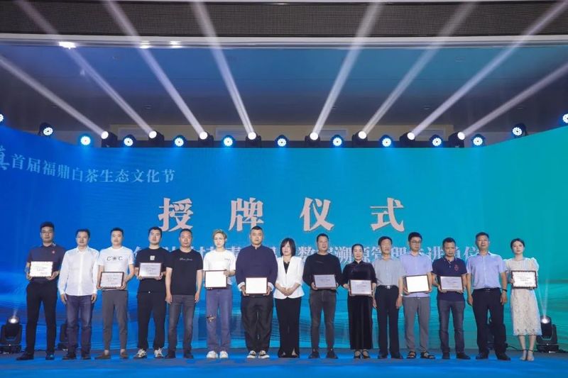 有关于首届福鼎白茶生态文化节在磻溪镇湖林村举行的消息(4)