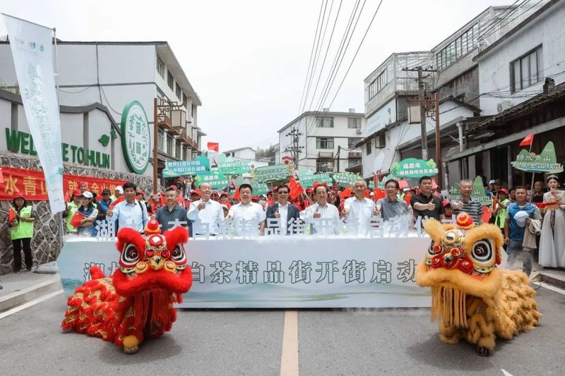 有关于首届福鼎白茶生态文化节在磻溪镇湖林村举行的消息(6)