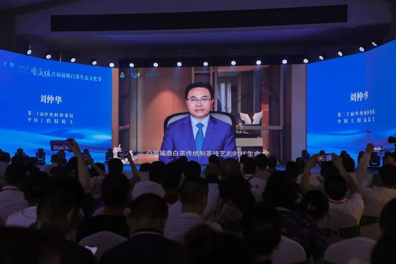 有关于首届福鼎白茶生态文化节在磻溪镇湖林村举行的消息(3)