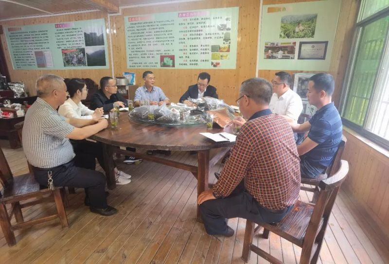 有关于贺州市政府发展研究中心到开山镇调研白毛茶产业的消息(1)