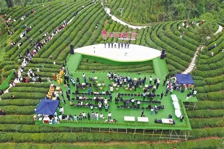 关于“奔跑”的陕茶的新闻