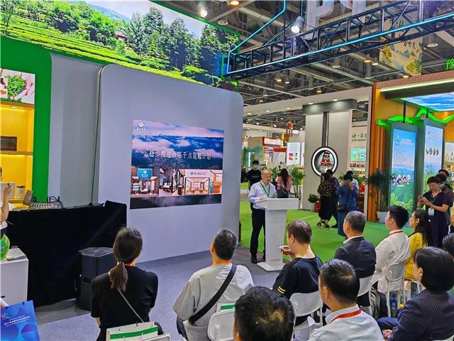 有关于“商洛茶”推介活动在杭州成功举办的新闻(2)