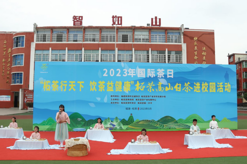 关于精彩回顾！“香飘两岸 茶和天下”2023年国际茶日品鉴活动在各地举办的资讯(19)