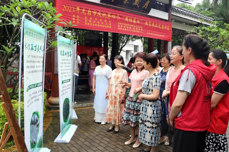 关于精彩回顾！“香飘两岸 茶和天下”2023年国际茶日品鉴活动在各地举办的资讯(16)