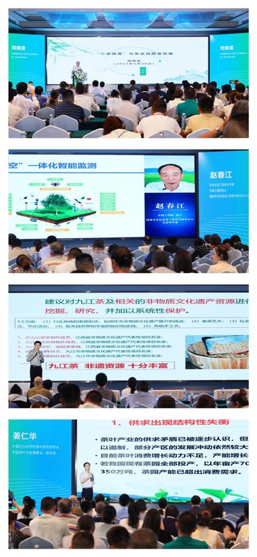 有关于2023中国·九江“三茶”统筹发展高峰论坛及庐山问茶会品鉴交流会举行的最新消息(1)