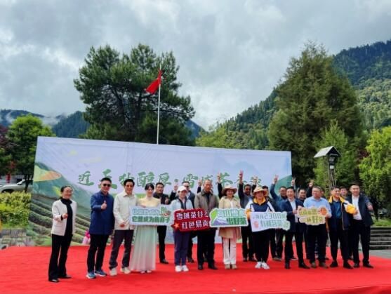 有关于西藏林芝举行2023年国际茶日暨易贡赏茶节活动的内容