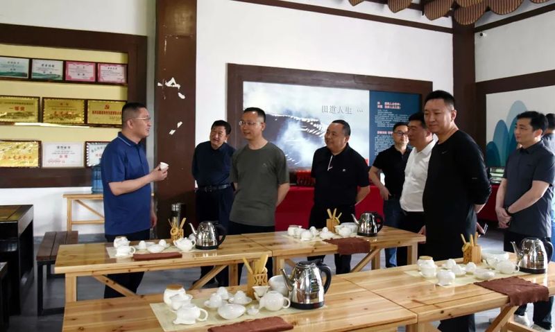 关于京东科技集团到凤冈考察茶产业的内容(2)