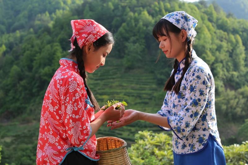 关于安康富硒茶飘香的资讯(1)