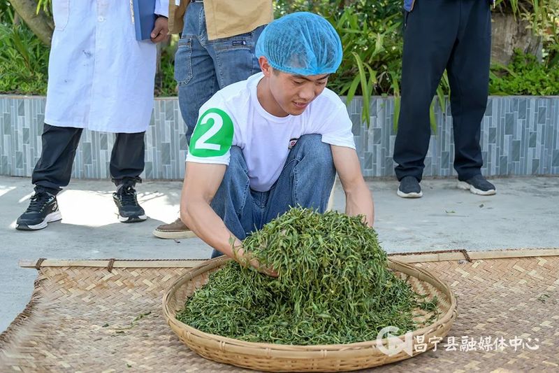 有关于昌宁县2023年茶叶行业劳动和技能竞赛制茶项目开赛的新闻(2)