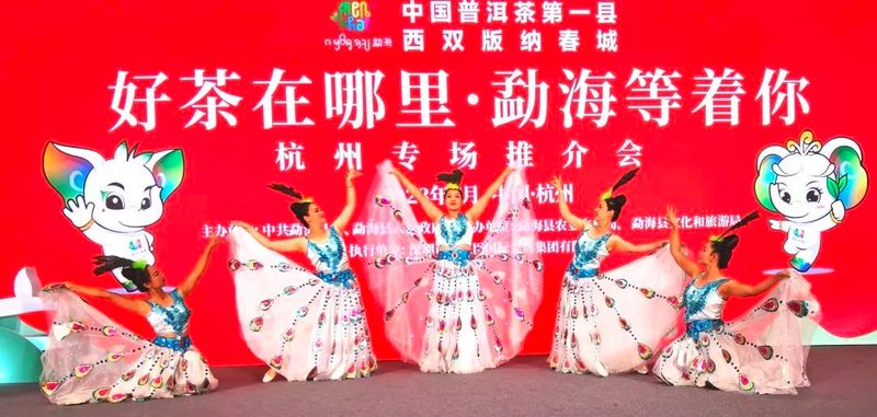 关于勐海好茶“亮相”第五届中国国际茶叶博览会 ——政府“发力”助推云茶新发展的新闻(12)