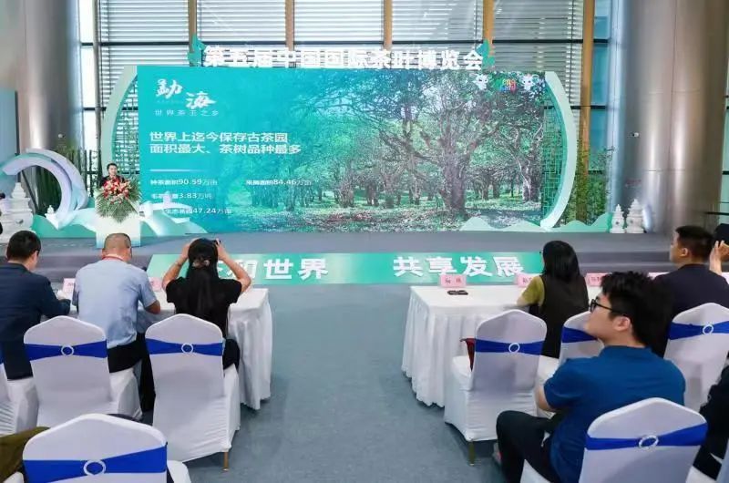 关于勐海好茶“亮相”第五届中国国际茶叶博览会 ——政府“发力”助推云茶新发展的新闻(4)