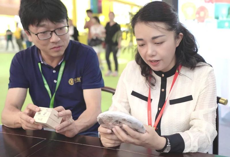 关于勐海好茶“亮相”第五届中国国际茶叶博览会 ——政府“发力”助推云茶新发展的新闻(1)