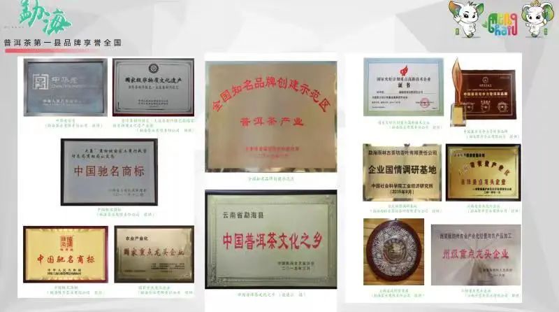 关于勐海好茶“亮相”第五届中国国际茶叶博览会 ——政府“发力”助推云茶新发展的新闻(7)