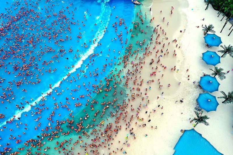 关于四川泸州纳溪区：北纬30°上的“中国特早茶之乡”的内容(10)