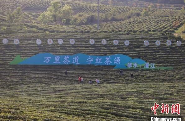 关于2023九江国际名茶名泉博览会开幕 庐山脚下共谋茶产业发展的最新消息(1)