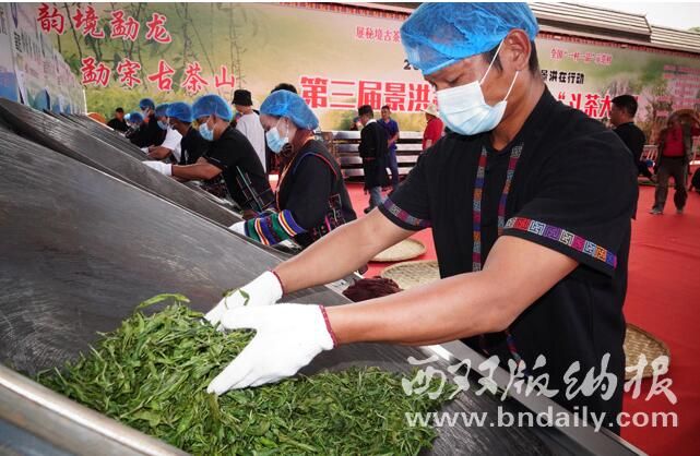 有关于茶农热闹“斗茶” 欢庆“国际茶日”的资讯