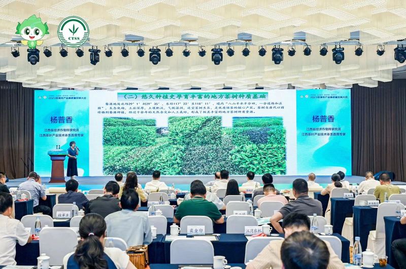 关于2023婺源茶产业高质量发展大会成功举办！的新闻(19)