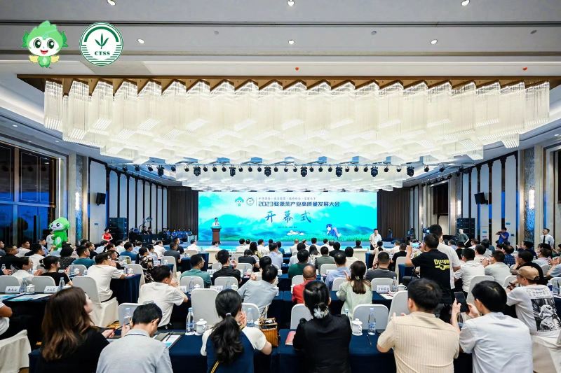 关于2023婺源茶产业高质量发展大会成功举办！的新闻