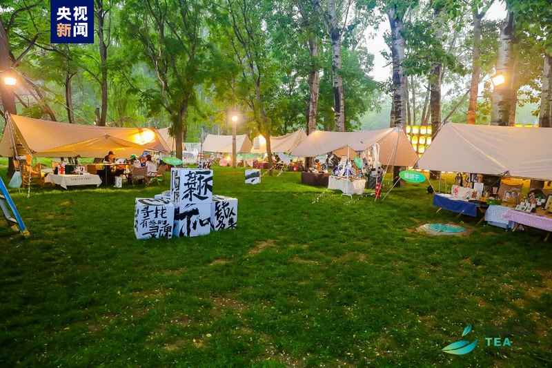 关于开启美学茶文化体验之旅！首届“北京朝阳国际茶香文化节”举办的资讯(13)