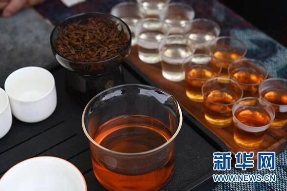 关于贵州省第一届职工职业技能大赛——“朵贝贡茶杯”手工制茶、古树茶加工技能大赛普定赛区落下帷幕的内容(5)